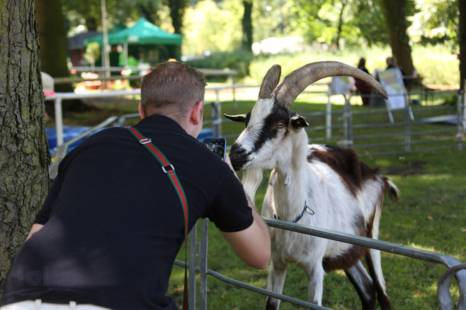 Eventfotografie: SchlagerHammer 2018 / Attraktionen