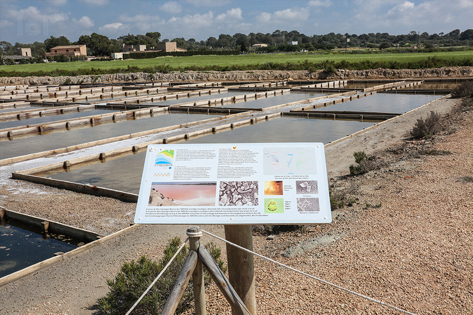 Salinas d´Es Trenc in Campos auf Mallorca / Verdunstungsbecken