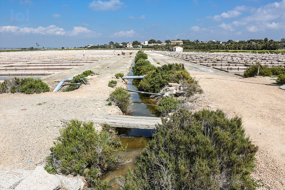 Salinas d´Es Trenc in Campos auf Mallorca / Salzernte