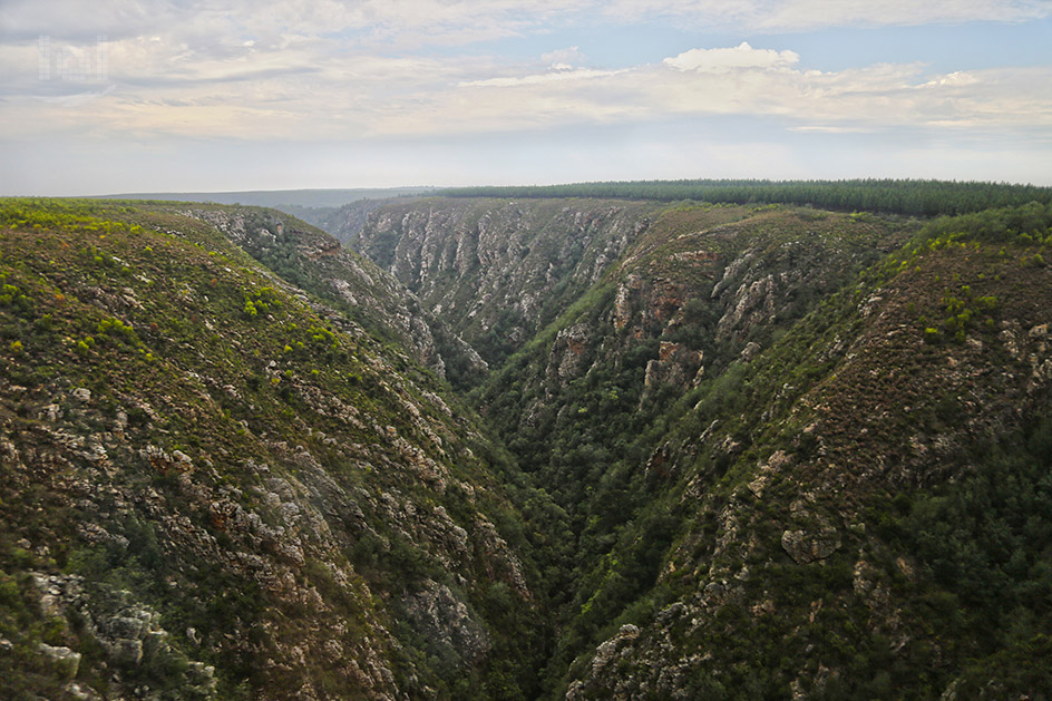 Aussicht in eine Bergkluft auf dem Weg zum Tsitsikamma-Nationalpark in Südafrika