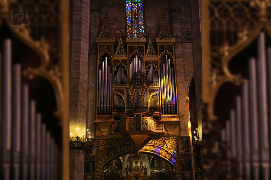 Cathedrale Palme da Mallorca