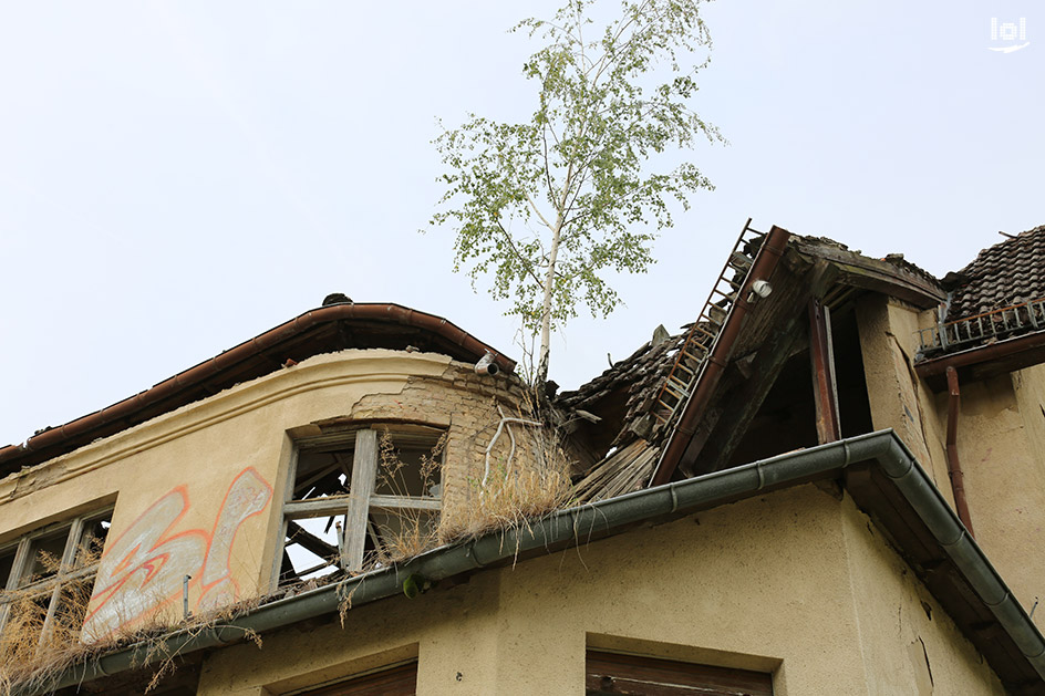 Lost Place: Ehemeliges Winterquartier des DDR-Staatszirkus in Berlin