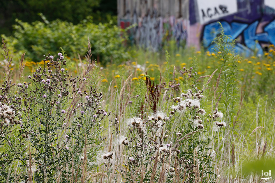 Lost Place: Ehemeliges Winterquartier des DDR-Staatszirkus in Berlin