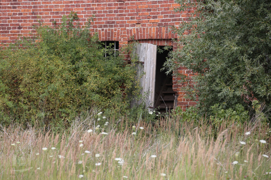 Lost Place: Alte Ruine in Basepohl