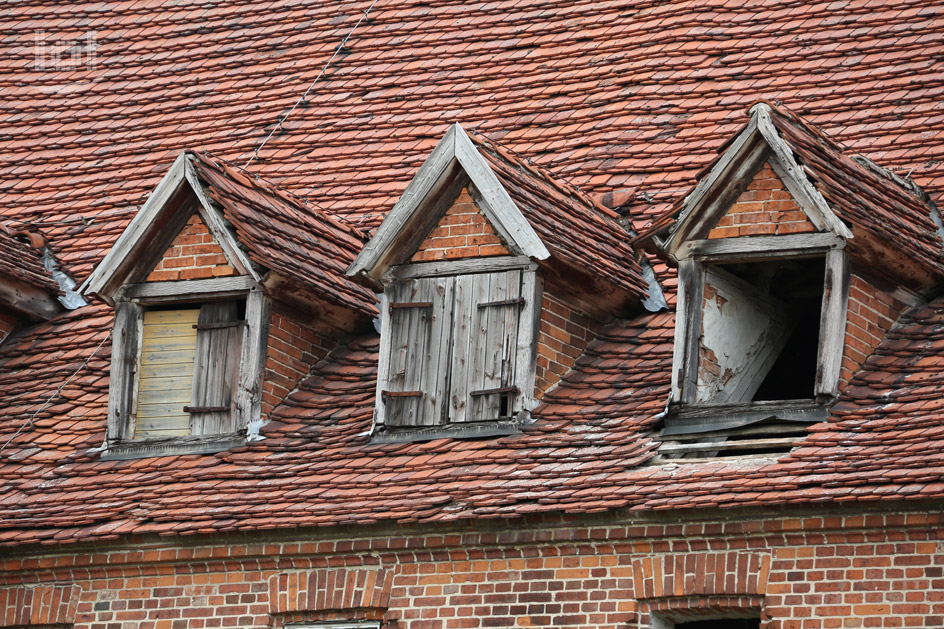 Lost Place: Alte Ruine in Basepohl