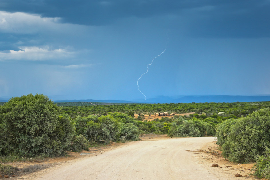 Addo Nationalpark, Südafrika