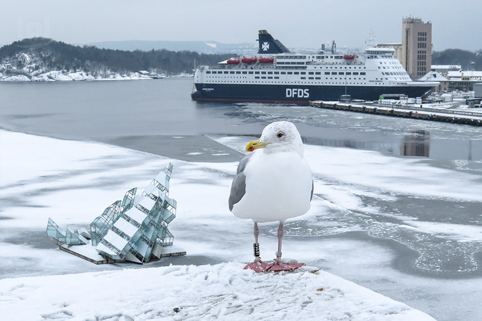 Eine Möwe auf dem Dach des Opernhauses, die Skulptur „She lies“ und eine Fähre der DFDS im Hintergrund