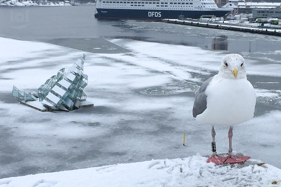 Eine Möwe auf dem Dach des Opernhauses, die Skulptur „She lies“ und eine Fähre der DFDS im Hintergrund