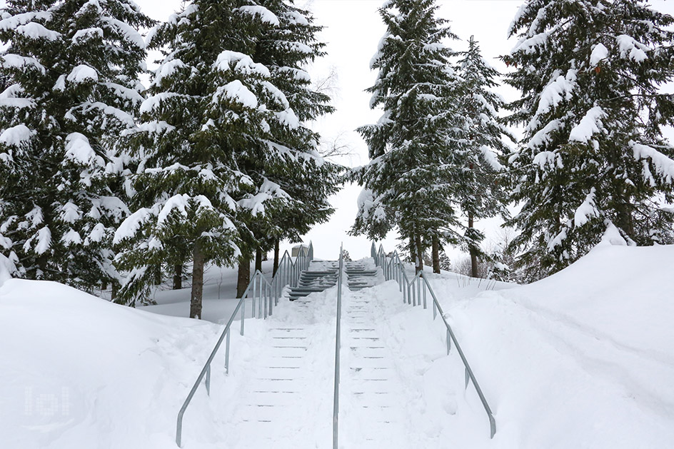 Winter am Holmenkollen in Oslo