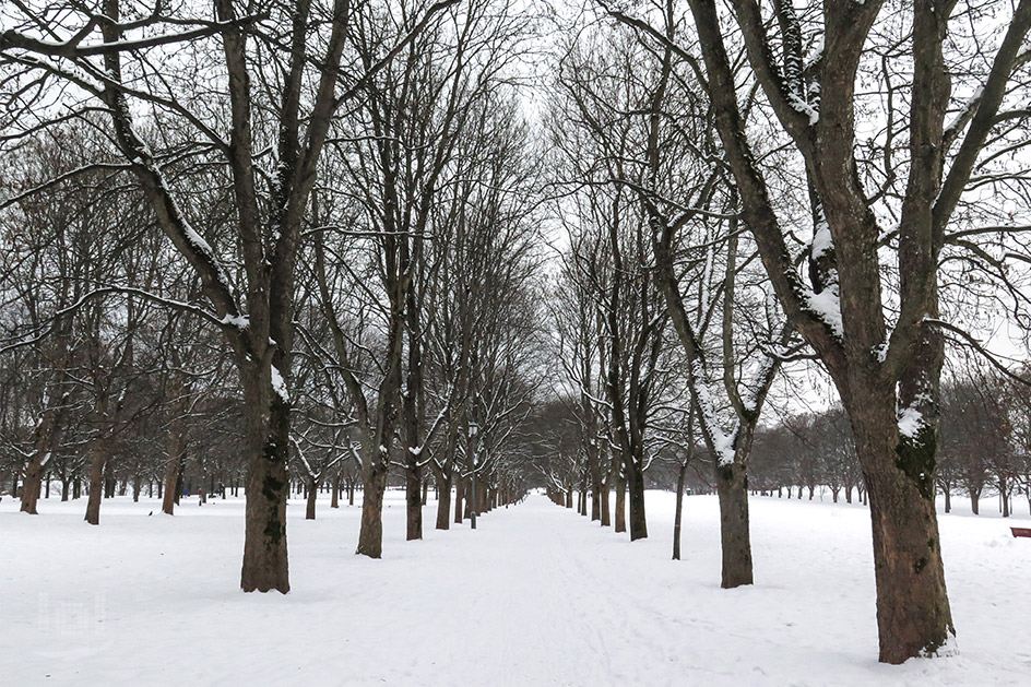 Winter im Frognerparken