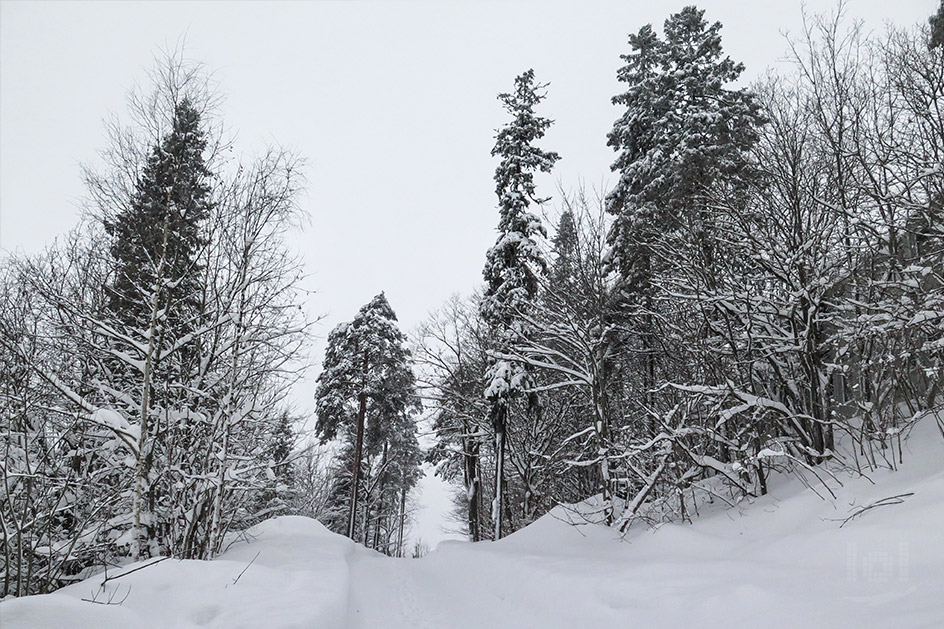 Der Holmenkollen: Skigebiet mit Historie