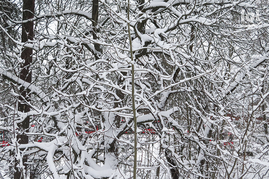 Der Holmenkollen: Skigebiet mit Historie