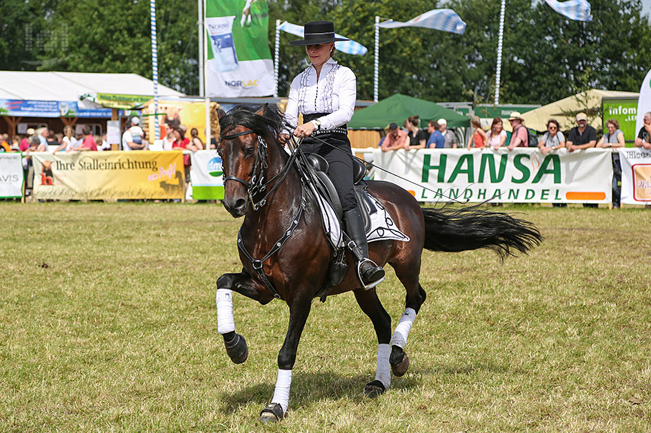 Los amigos del caballo iberico / Spanische Reitgruppe aus Schwarme