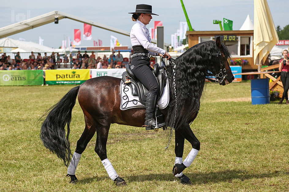 Los amigos del caballo iberico / Spanische Reitgruppe aus Schwarme