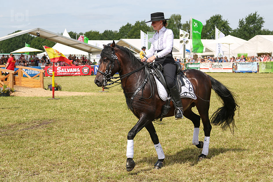 Los amigos del caballo iberico / Spanische Reitgruppe aus Schwarme