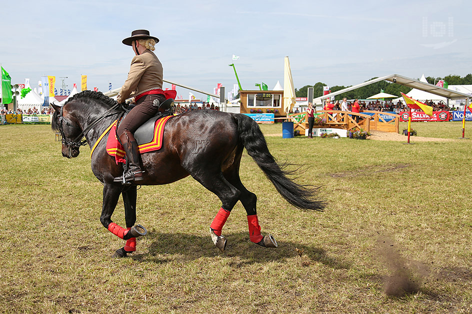 Los amigos del caballo iberico / Spanische Reitgruppe aus Schwarme