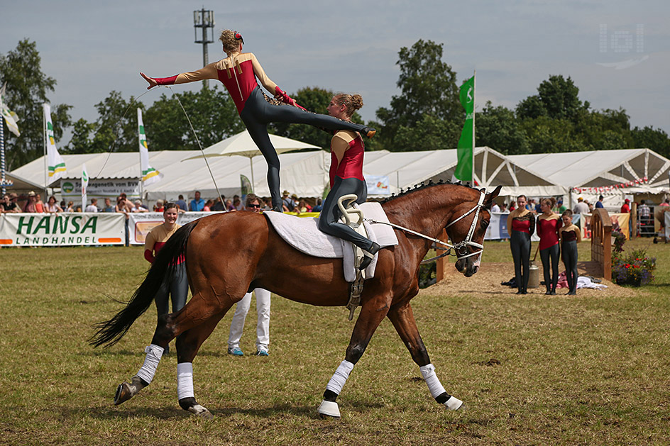 Voltigiergruppe Reitverein Fischerhude e.V.