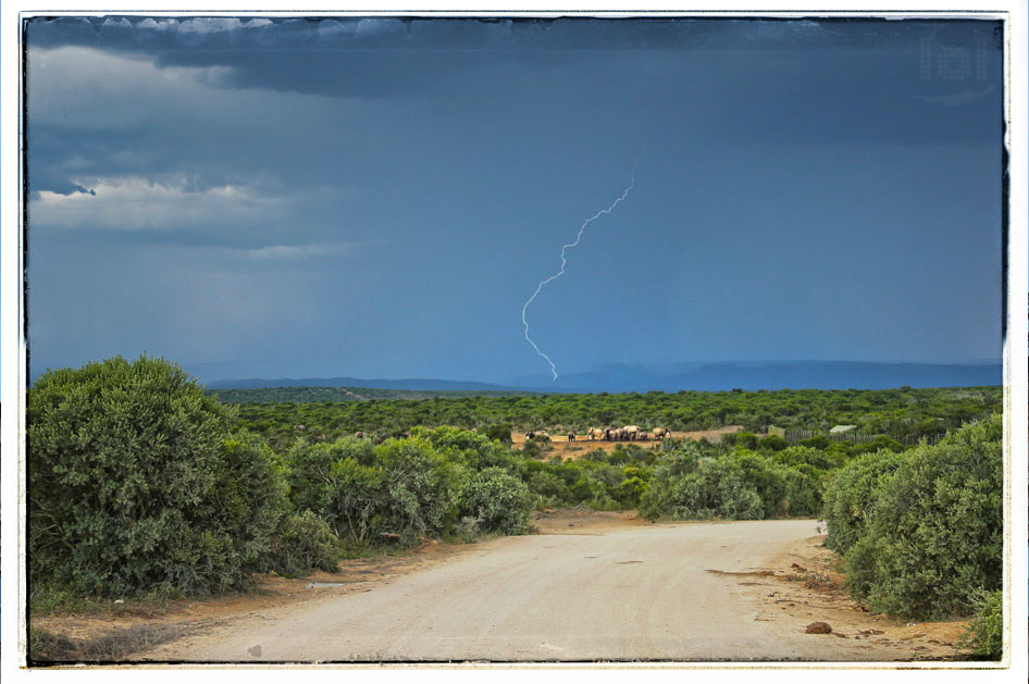 Blitzeinschlag im Addo Nationalpark