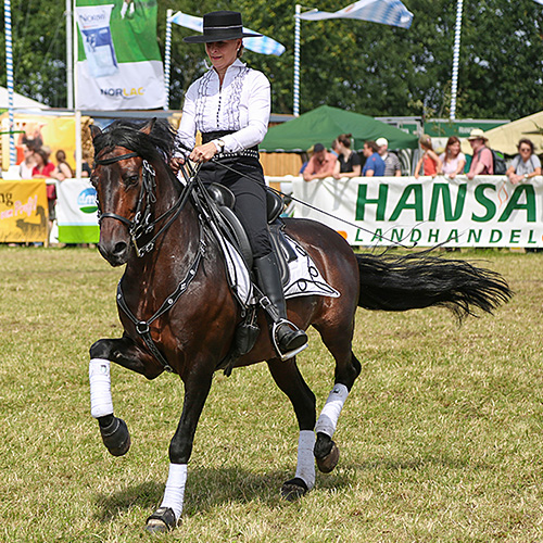 look-of-life / Sportfotografie: Reitsport